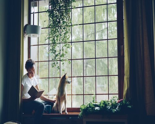 Young person reading a book near a bright window in an apartment with comfortable natural light